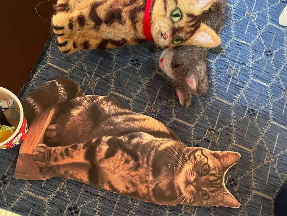 画像361