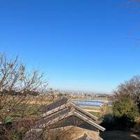 画像376