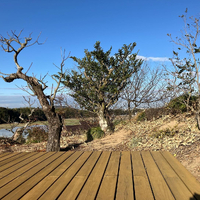 画像408