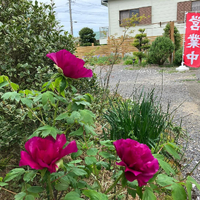 画像502