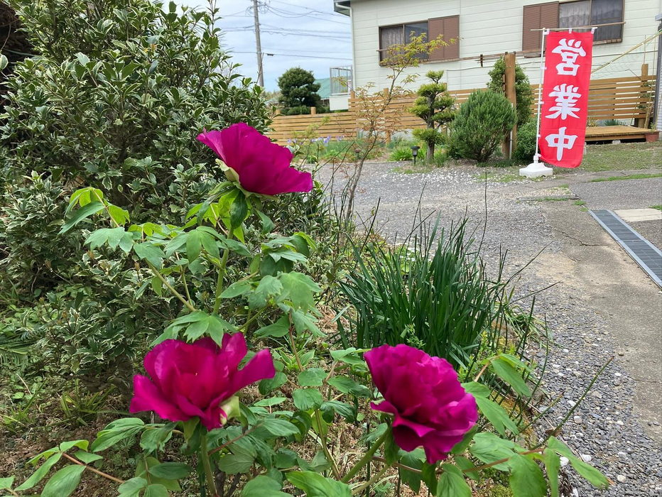 画像502