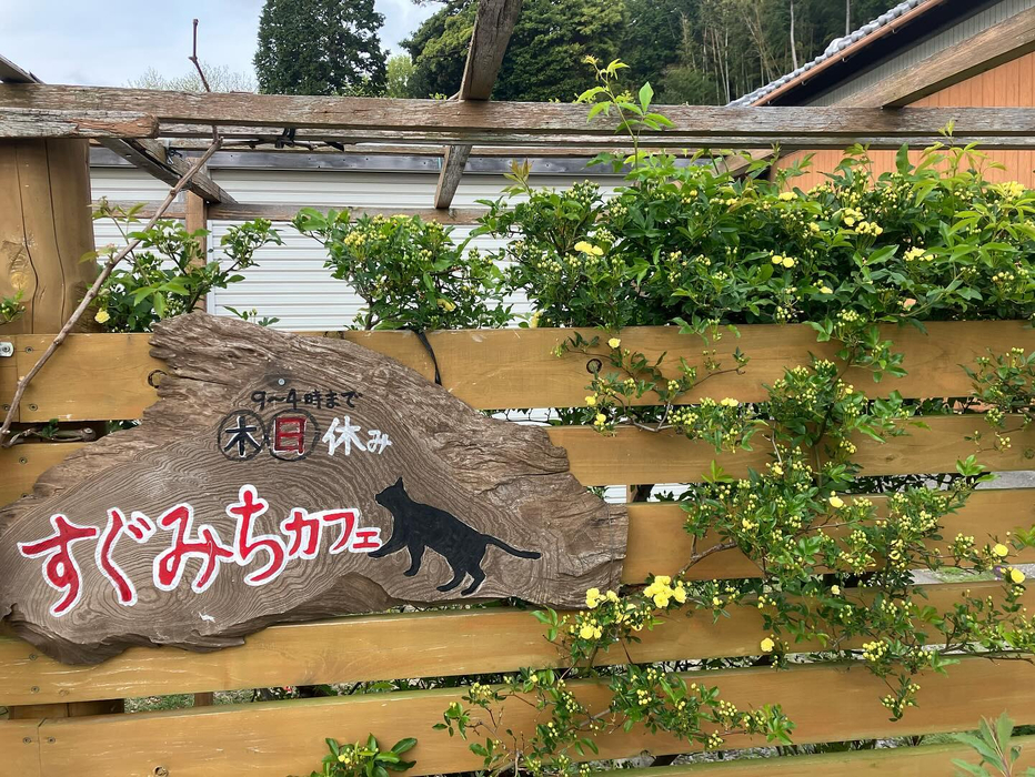 画像506