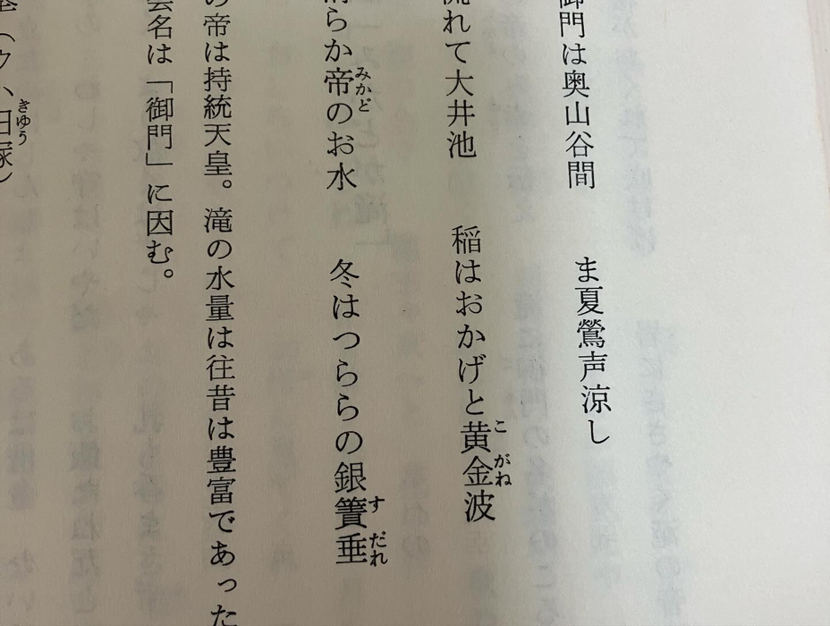 画像527