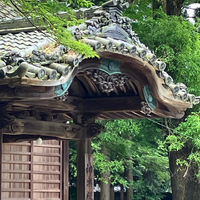 画像530