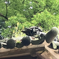 画像539