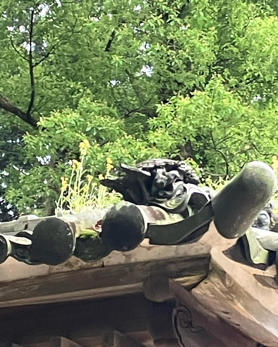 画像539