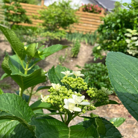 画像545