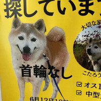 画像601