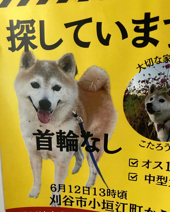 画像601