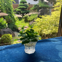 画像628