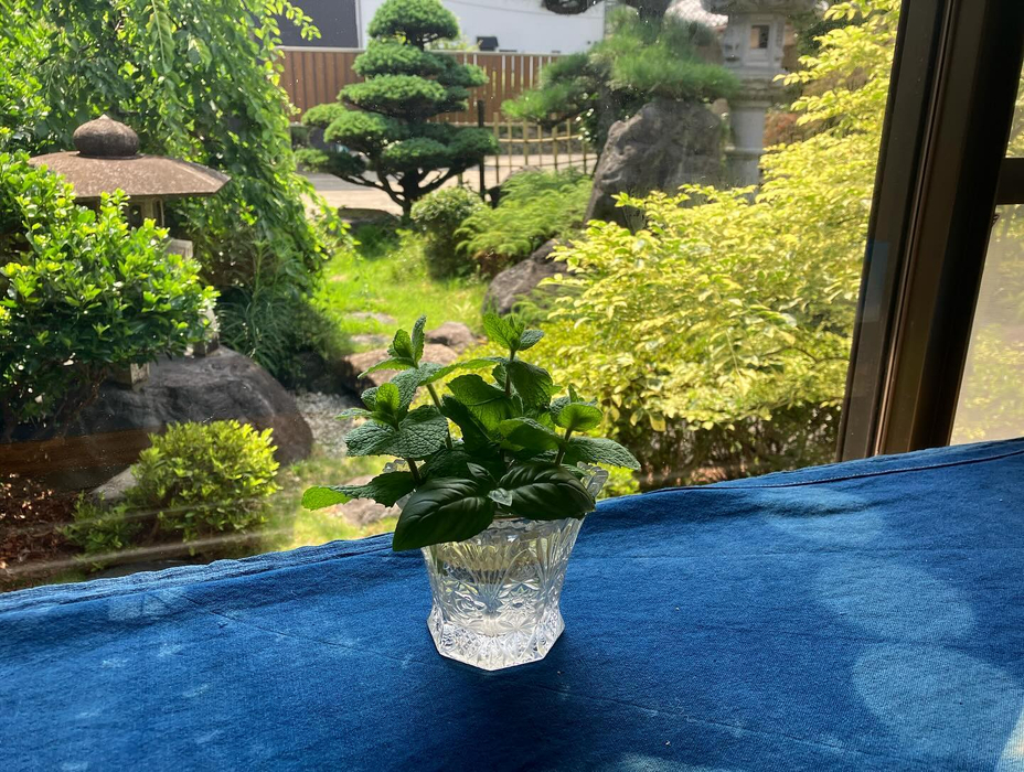 画像628