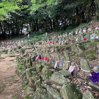 画像639