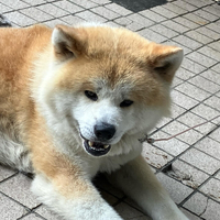 画像668