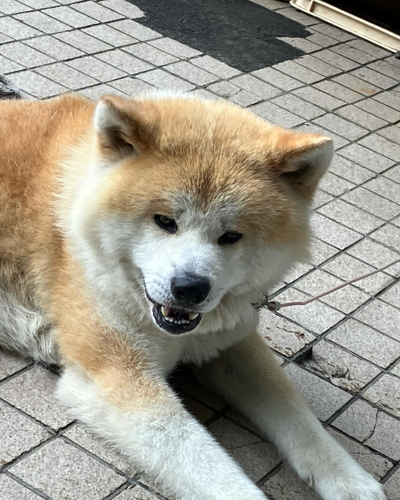 画像668